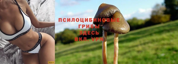 мяу мяу мука Белокуриха