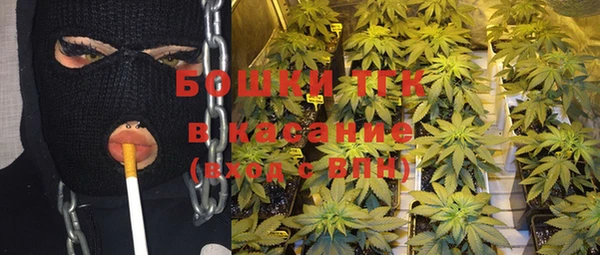стаф Осинники