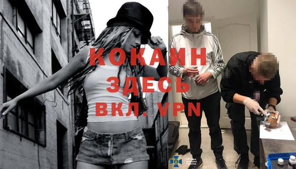 мяу мяу мука Белокуриха
